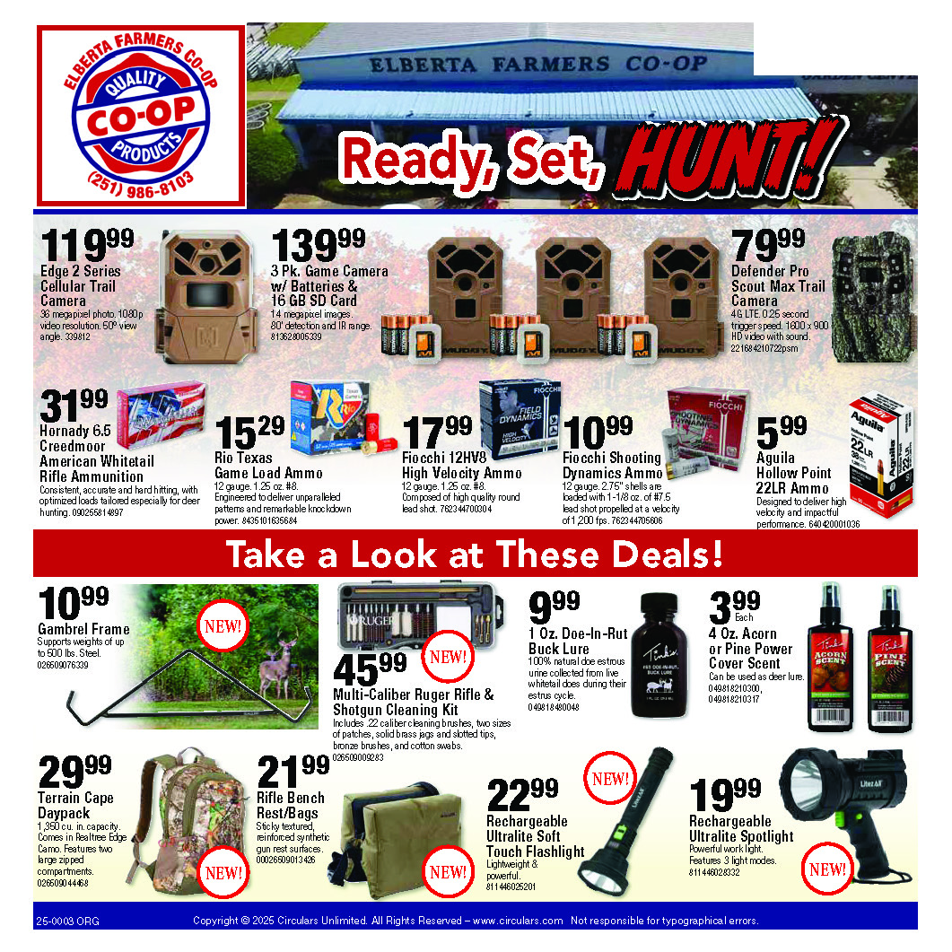 mid cape circular thumbnail